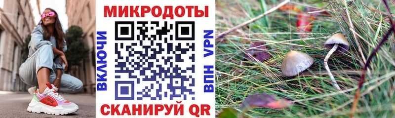 наркота Наро-Фоминск OMG Псилоцибиновые грибы GOLDEN TEACHER